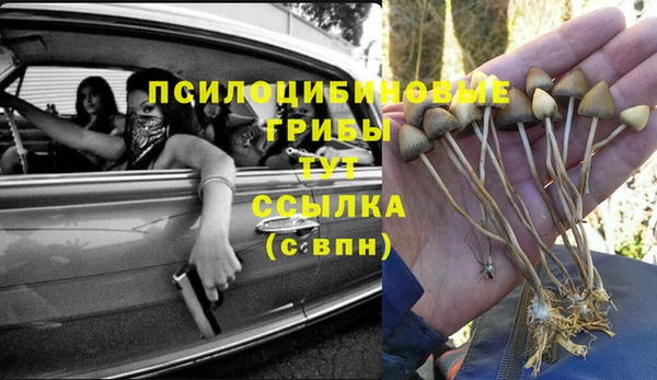 мдма Беломорск