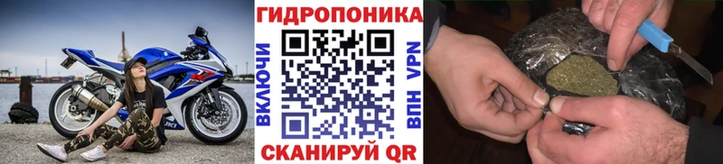 Конопля White Widow  Ессентуки 